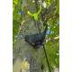 Fugl geocache beholder med rum til bison - 11cm - 3D printet - Sort
